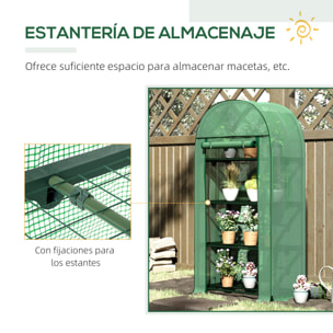 Invernadero de Jardín con 4 Estantes Metálicos Puerta Enrollable y Cubierta de PE Vivero Casero de Terraza para Cultivo Plantas Flores Macetas 80x49x160 cm Verde