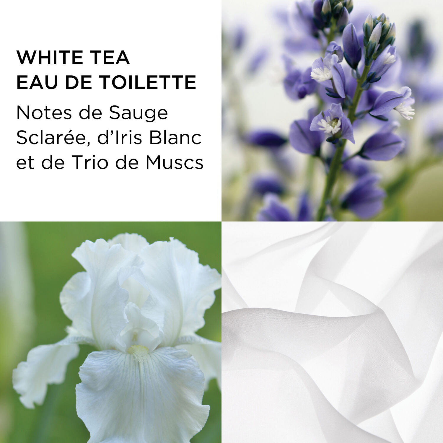 White Tea - Coffret Eau de Toilette 100 ml + Crème Corps 400 ml