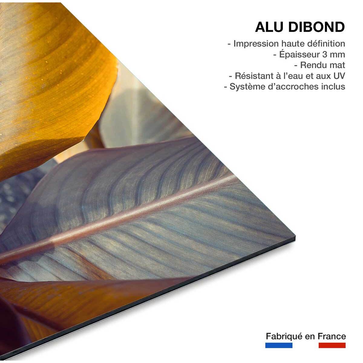 Tableau palm leaves y Tableau alu Dibond