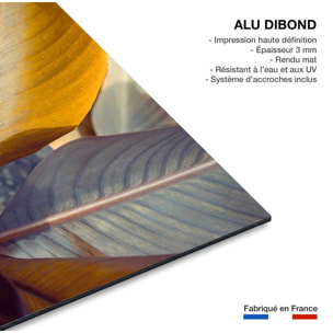 Tableau palm leaves y Tableau alu Dibond