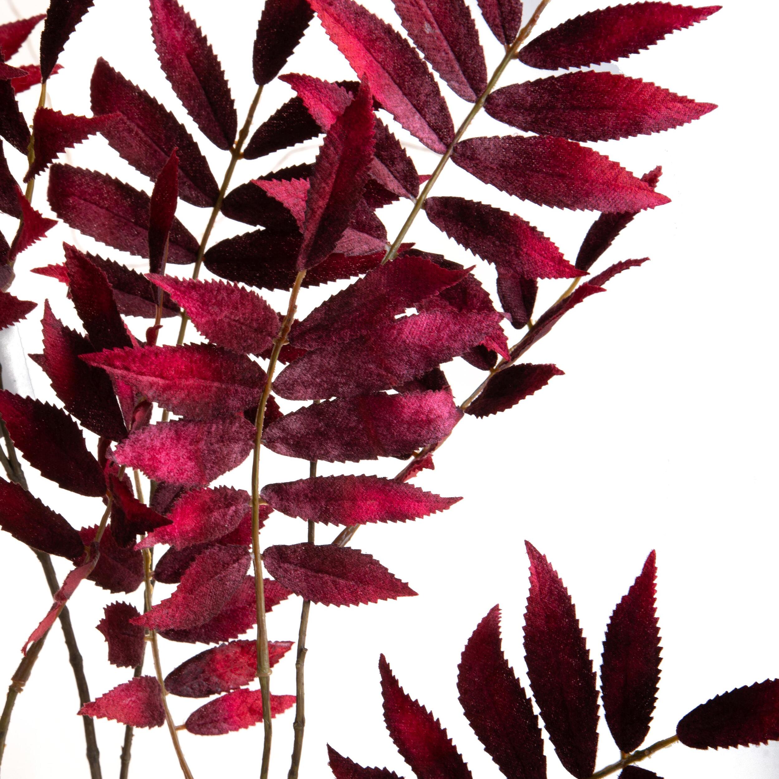 Sorbus ramo - Pezzi 6 - 17xH99x0,16cm - Bianchi Dino SpA