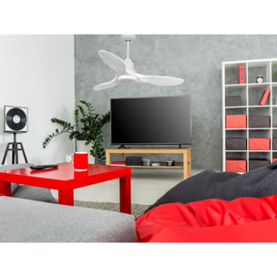 Ventilateur de plafond Réversible  Thermostat Dimmable Wifi Moteur à courant continu Toits en pente Télécommande Lumière à trois tons Hypersilence Mémoire