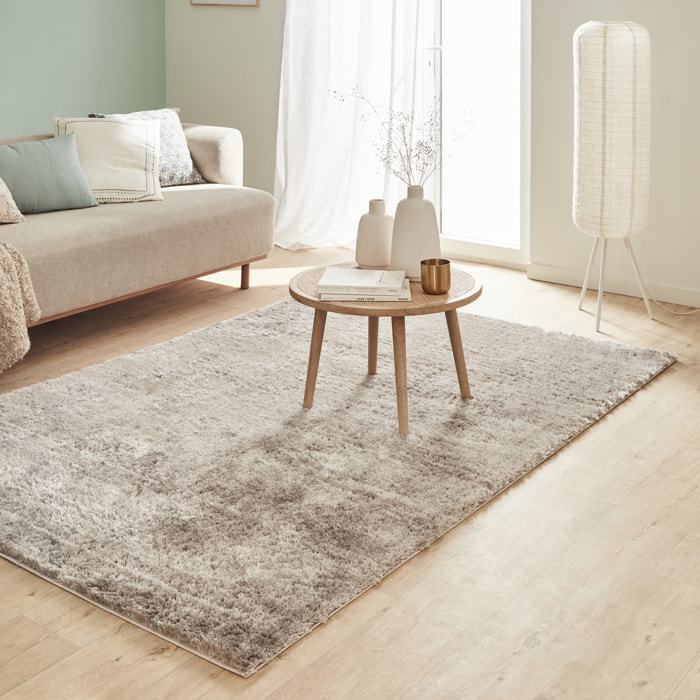 Cosy - tapis salon à poils longs tout doux, taupe