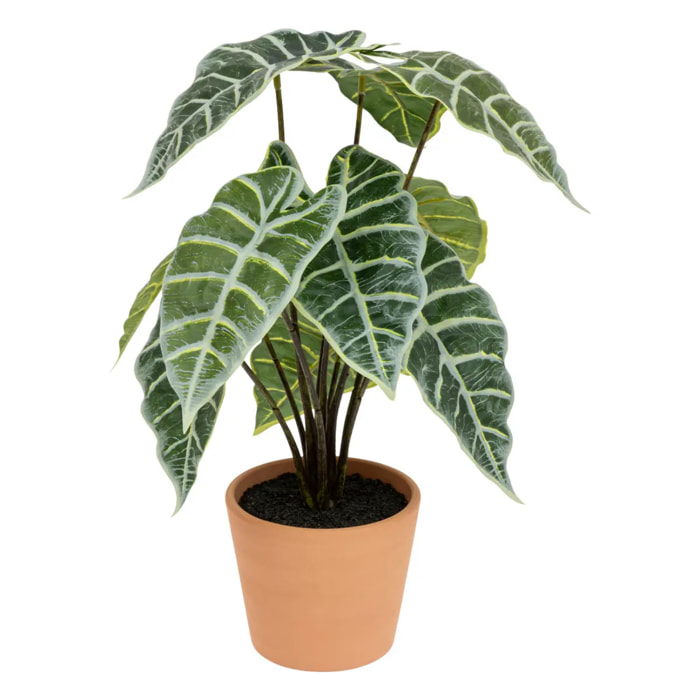 Alocasia artificielle H43cm vert