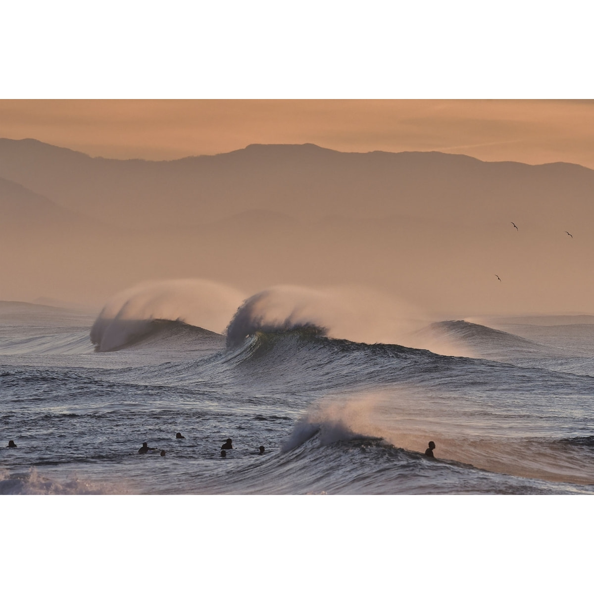 Tableau plage hossegor mouettes au pic Tableau plexiglas