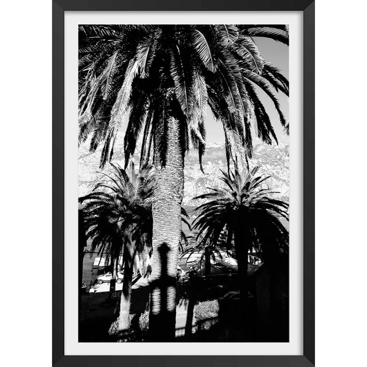 Affiche noir et blanc palmiers monténégro Affiche + cadre en bois - Noir
