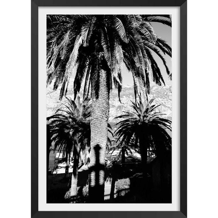Affiche noir et blanc palmiers monténégro Affiche + cadre en bois - Noir