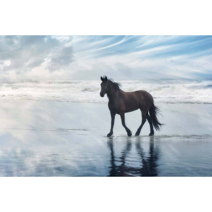 Tableau cheval mouvement du cheval  Tableau alu Dibond