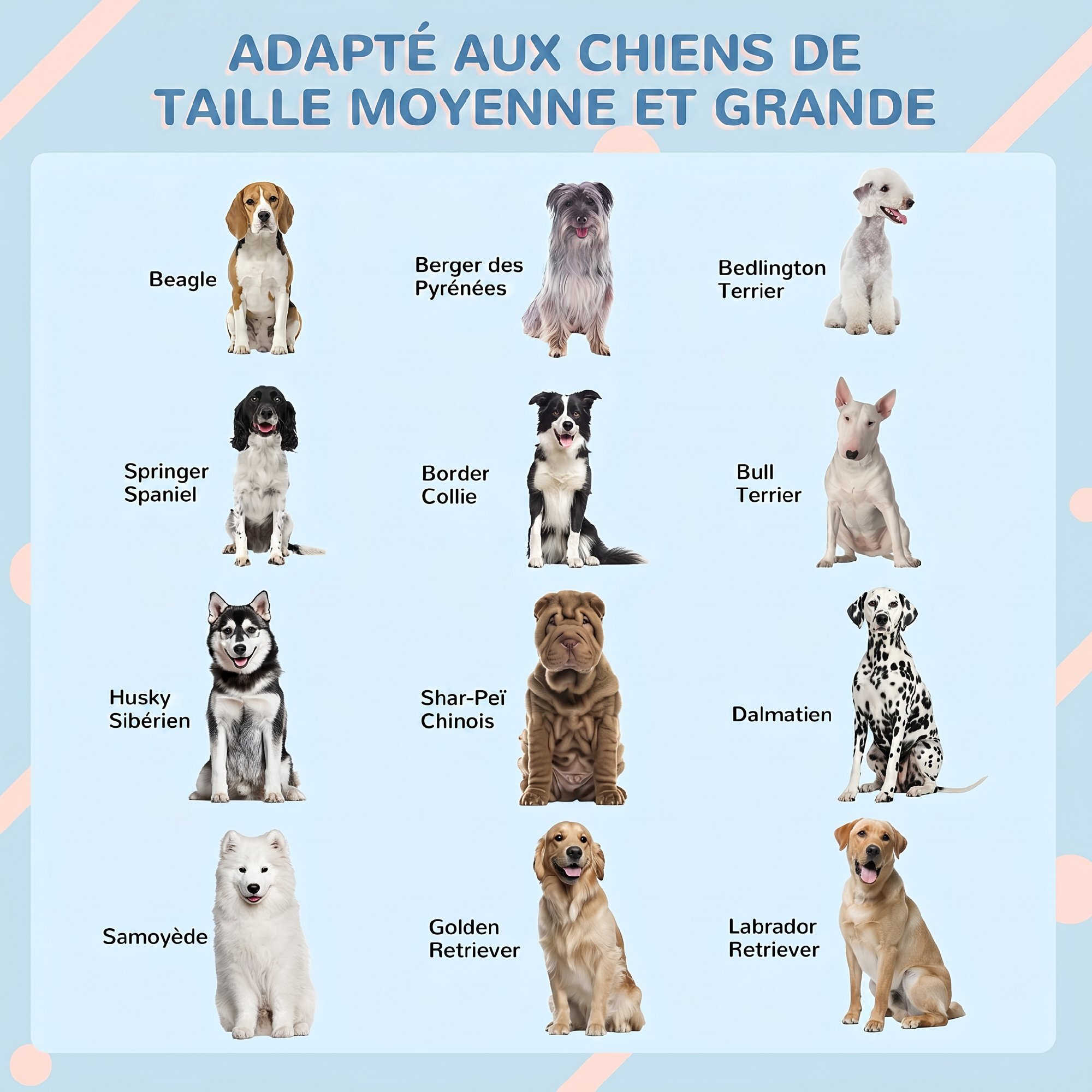 Niche chien style cottage - motifs fenêtres, porte, aération - PP blanc bleu