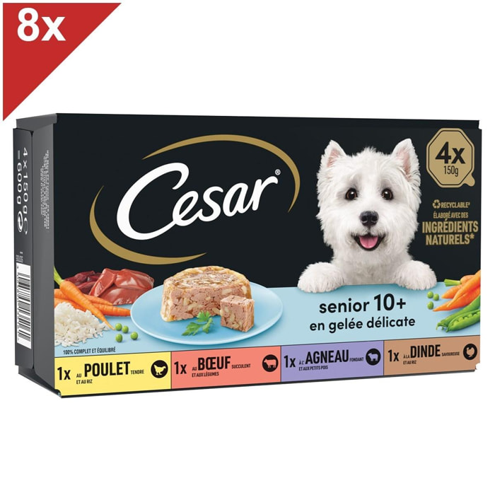 CESAR 32 Barquettes en gelée 4 variétés pour chien senior 150g (8x4)