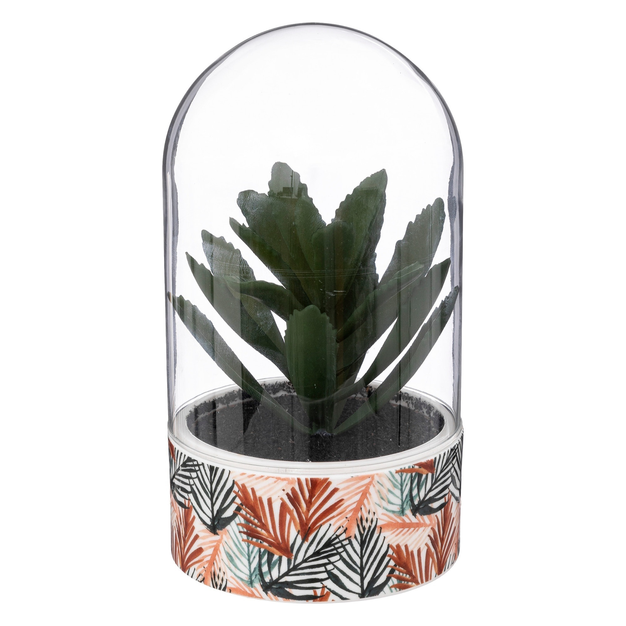 Planta "ali" cloche h21cm