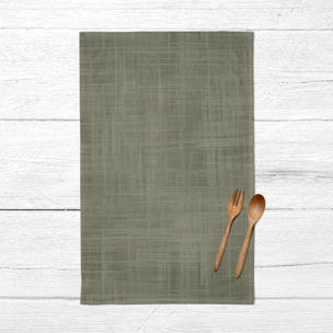 Lot de 2 torchons de cuisine Desert Sage