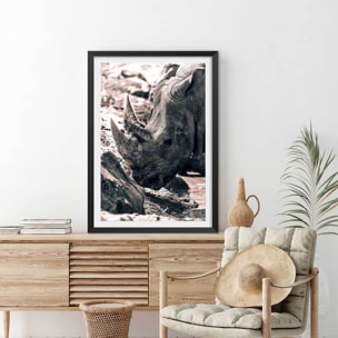 Affiche rhinoceros Affiche sous cadre noir