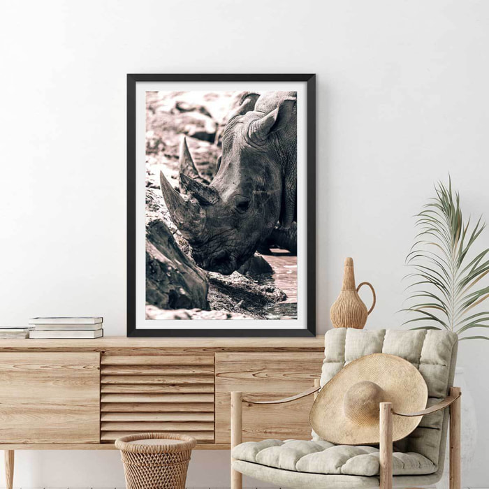 Affiche rhinoceros Affiche sous cadre noir