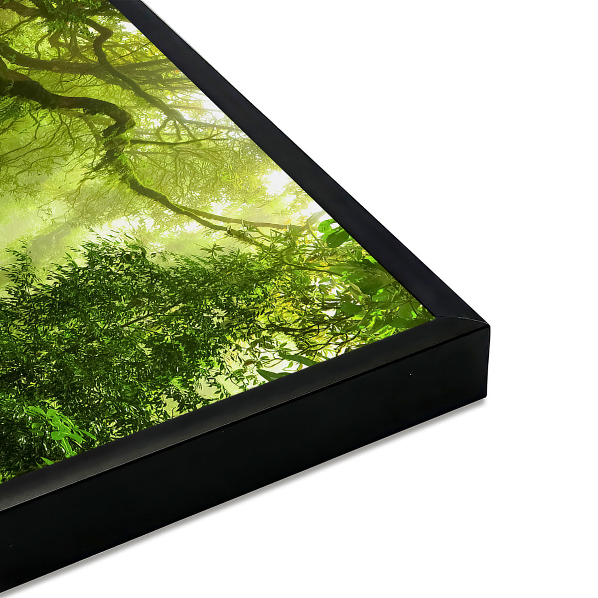 Affiche encadrée – Sentier en forêt tropicale Affiche + cadre en métal - Noir