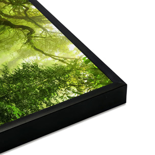 Affiche encadrée – Sentier en forêt tropicale Affiche + cadre en métal - Noir