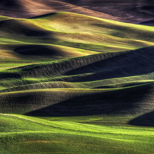 Tableau Champs et colline USA Tableau alu Dibond