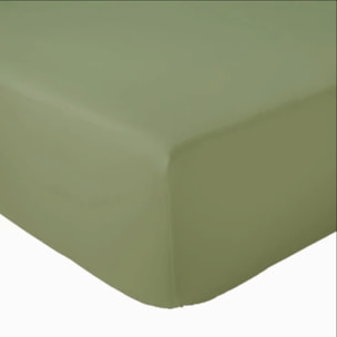Drap Housse coton bonnet 23 cm fabriqué en France - Vert mousse