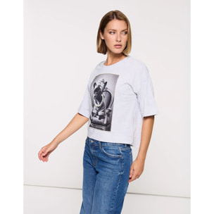 Camiseta Manga Corta Gris Claro - Dogy