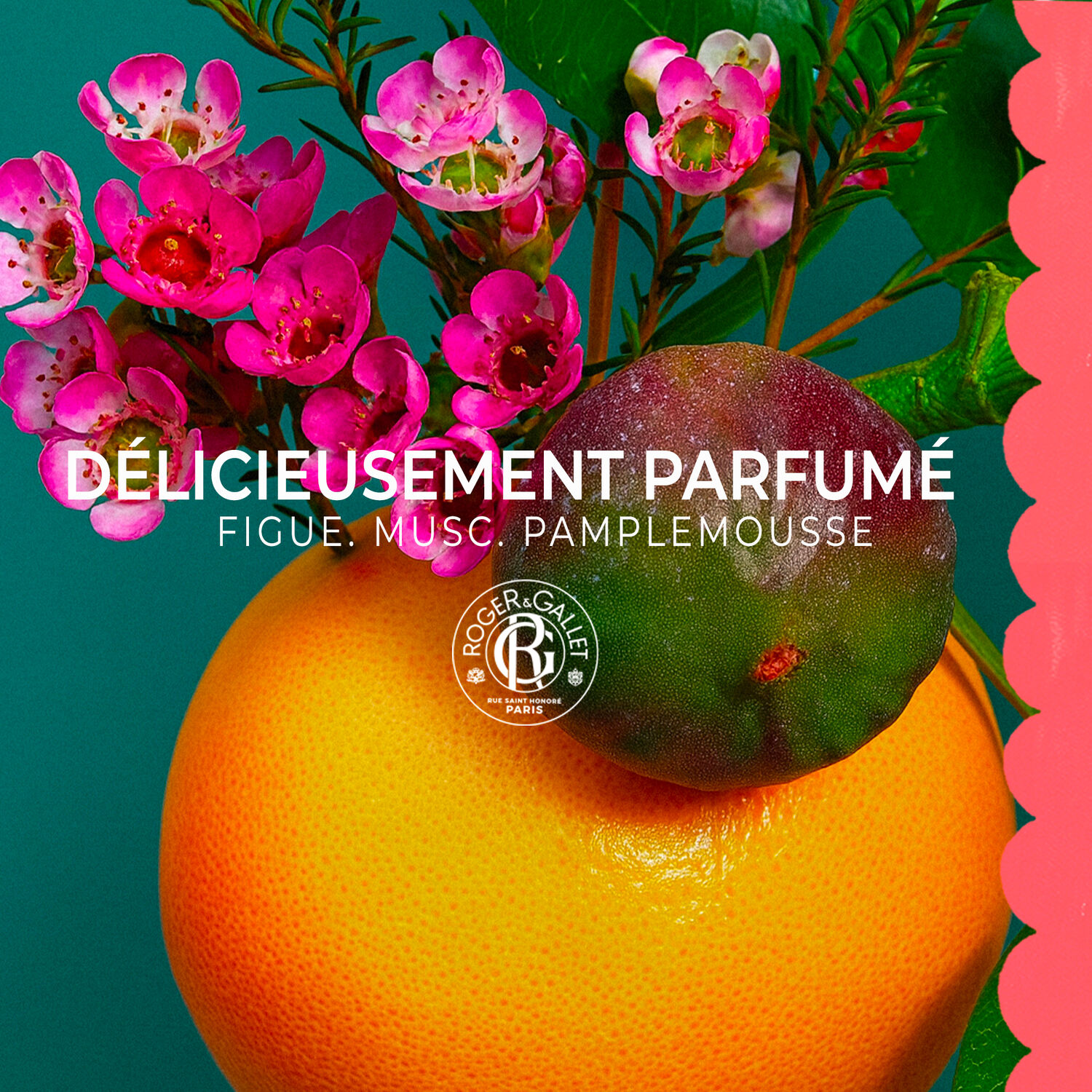 Fleur de Figuier - Gel Douche Bienfaisant 200 ml