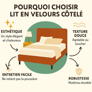 Lit Colisée avec tête de lit| Robuste et confortable | Montage simple rapide | Velours Côtelé | Gris clair