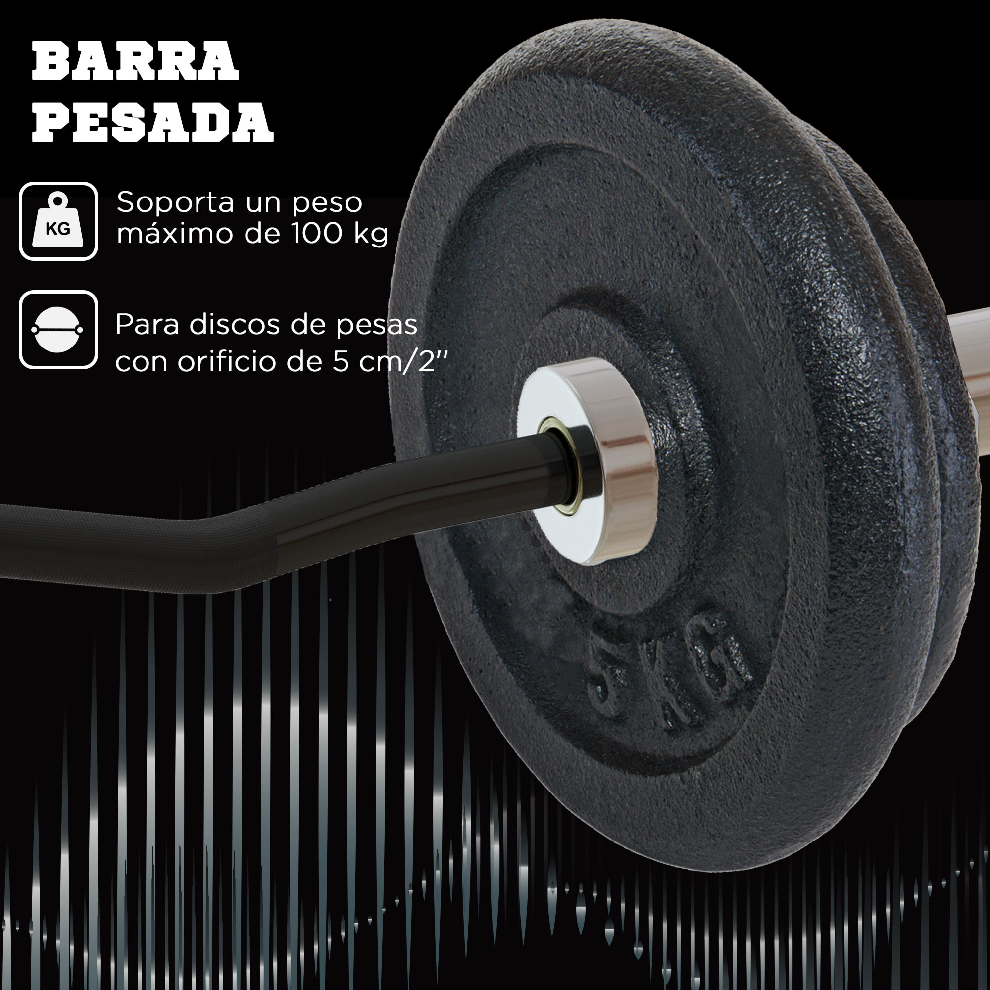 Barra de Pesas de Acero 120 cm Barra Curl EZ Ø50 mm con 2 Presillas Carga 100 kg Barra Olímpica para los Discos de Ø5 cm Entrenamiento en Gimnasio Casa Negro y Plata