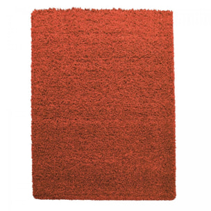 Tapis poils longs shaggy tissé motif uni ROCA