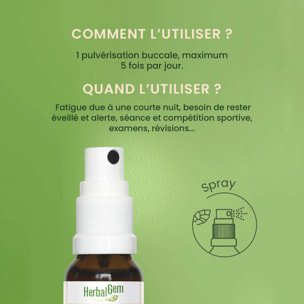 Herbalgem- EnerGem coup de boost - Bio - 15 ml