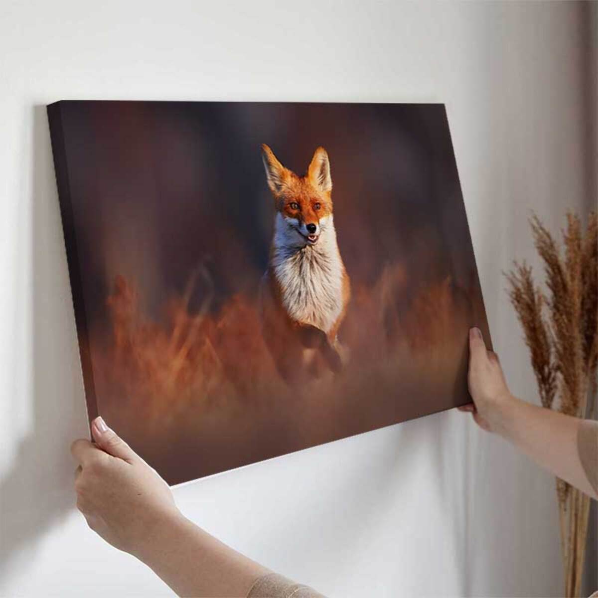 Tableau renard élégant dans les herbes d’automne Toile imprimée