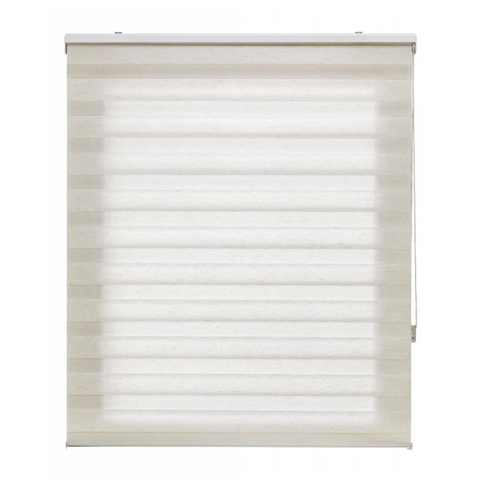 Store enrouleur Polyester Translucide 140x250