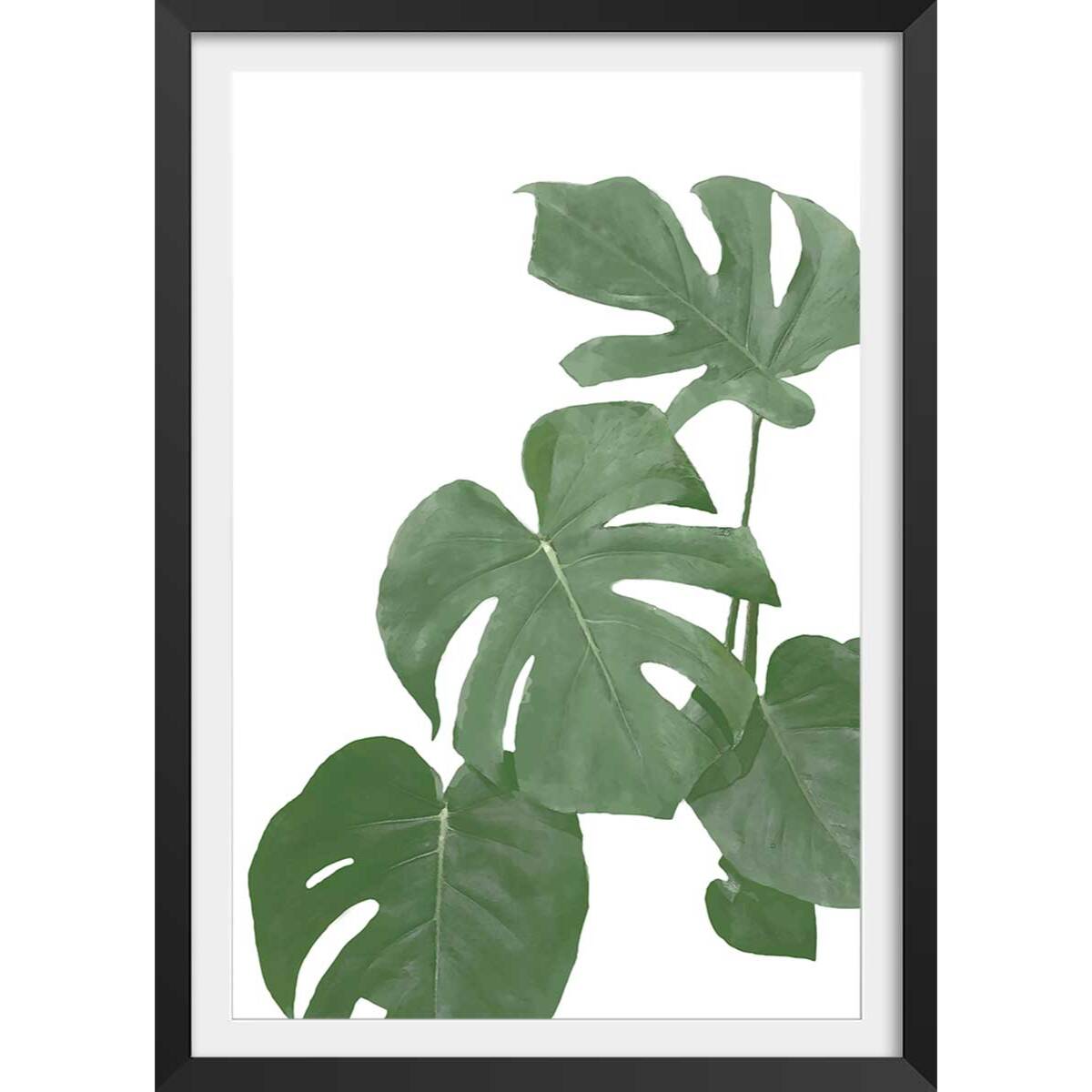Affiche Feuilles de Monstera Affiche + cadre en bois - Noir
