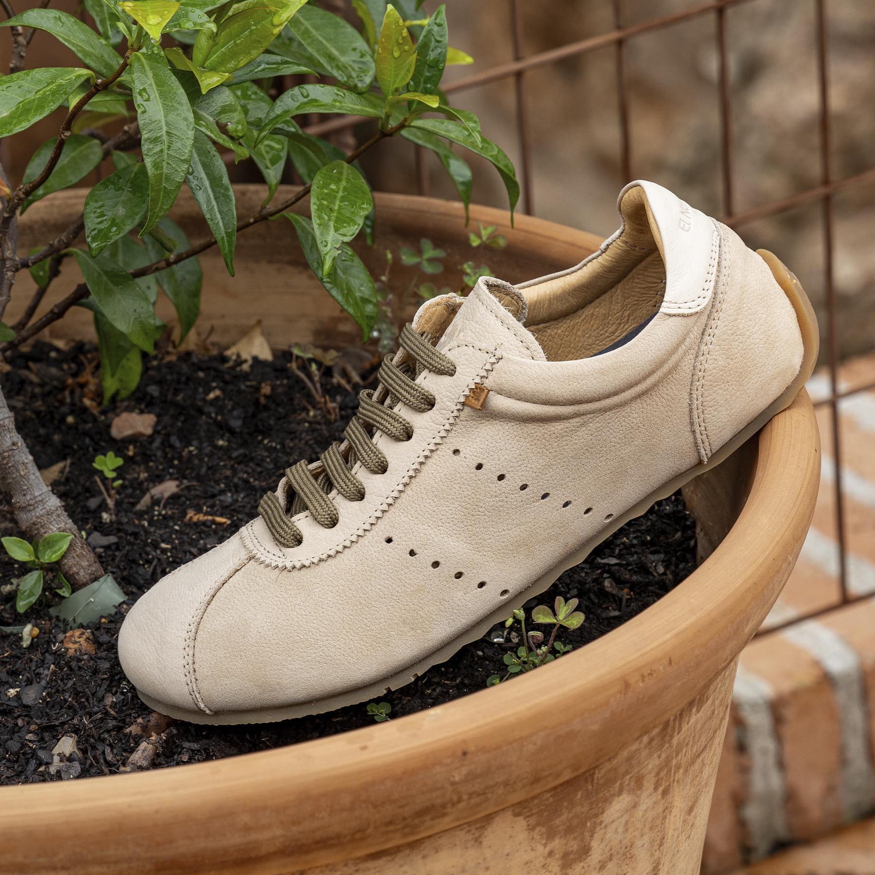 Zapatos N5935 NOBUCK HONEY/ONDINA color Honey