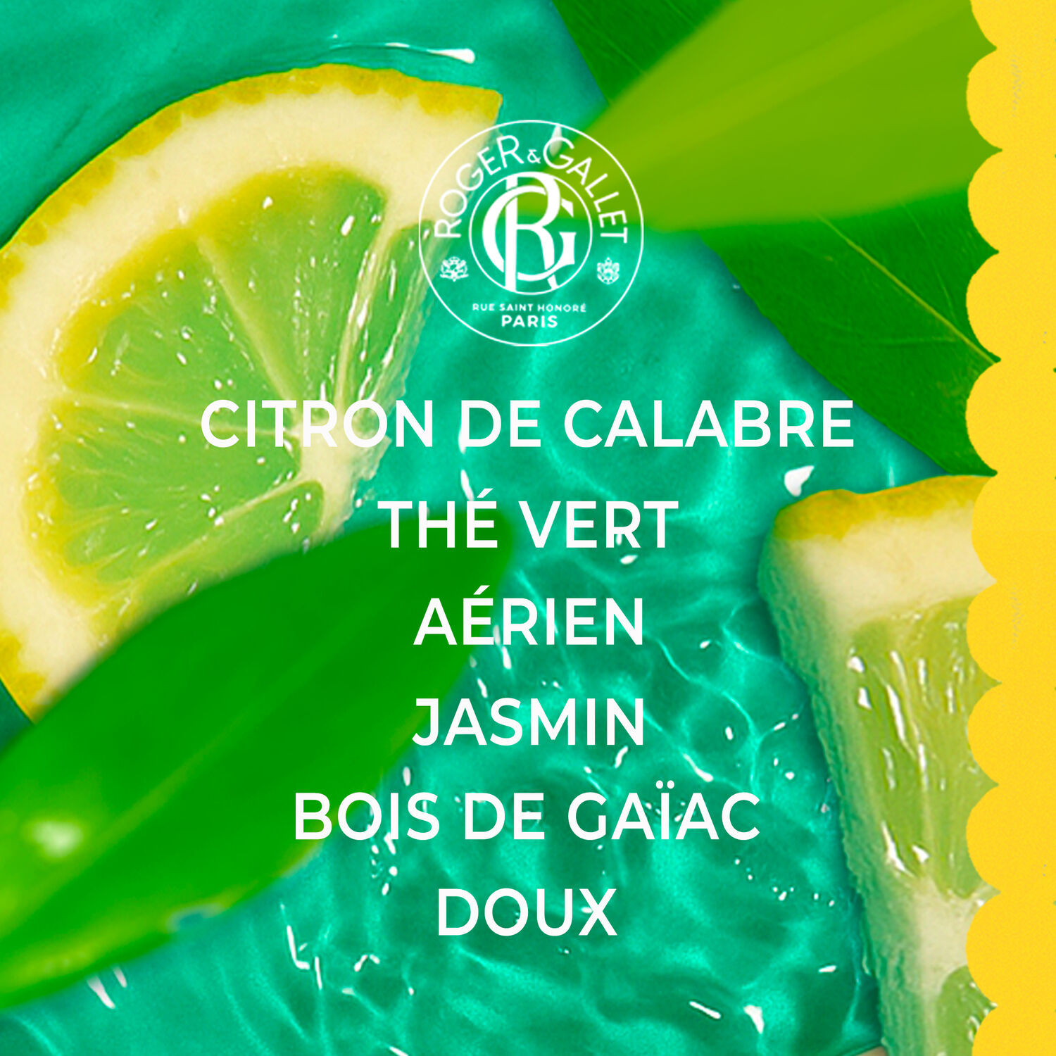 Thé Vert - Eau Parfumée Bienfaisante 100 ml