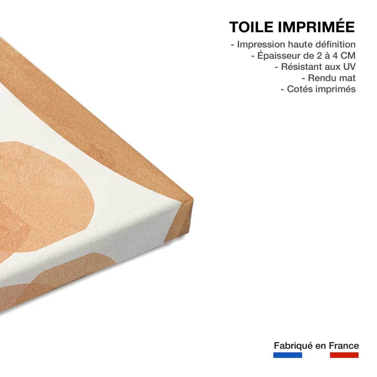 Tableau organique poterie et botanique  Toile imprimée