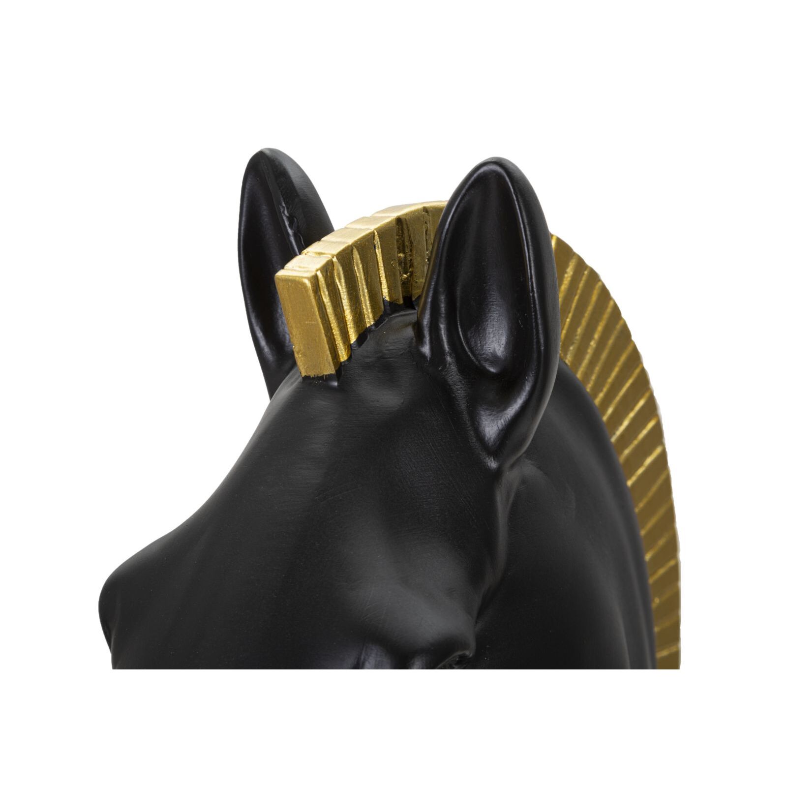 CAVALLO CHARME 1921 MULTICOLORE