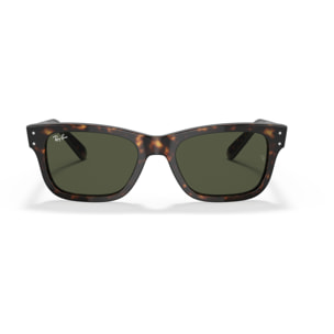 Ray Ban Gafas de sol para cada estilo de vida RB2283 Mr burbank