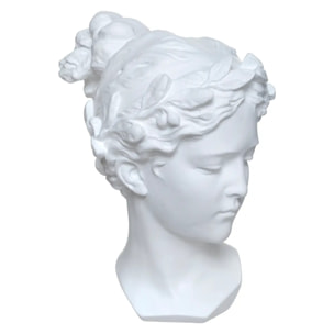 Tête Vénus H.26cm résine