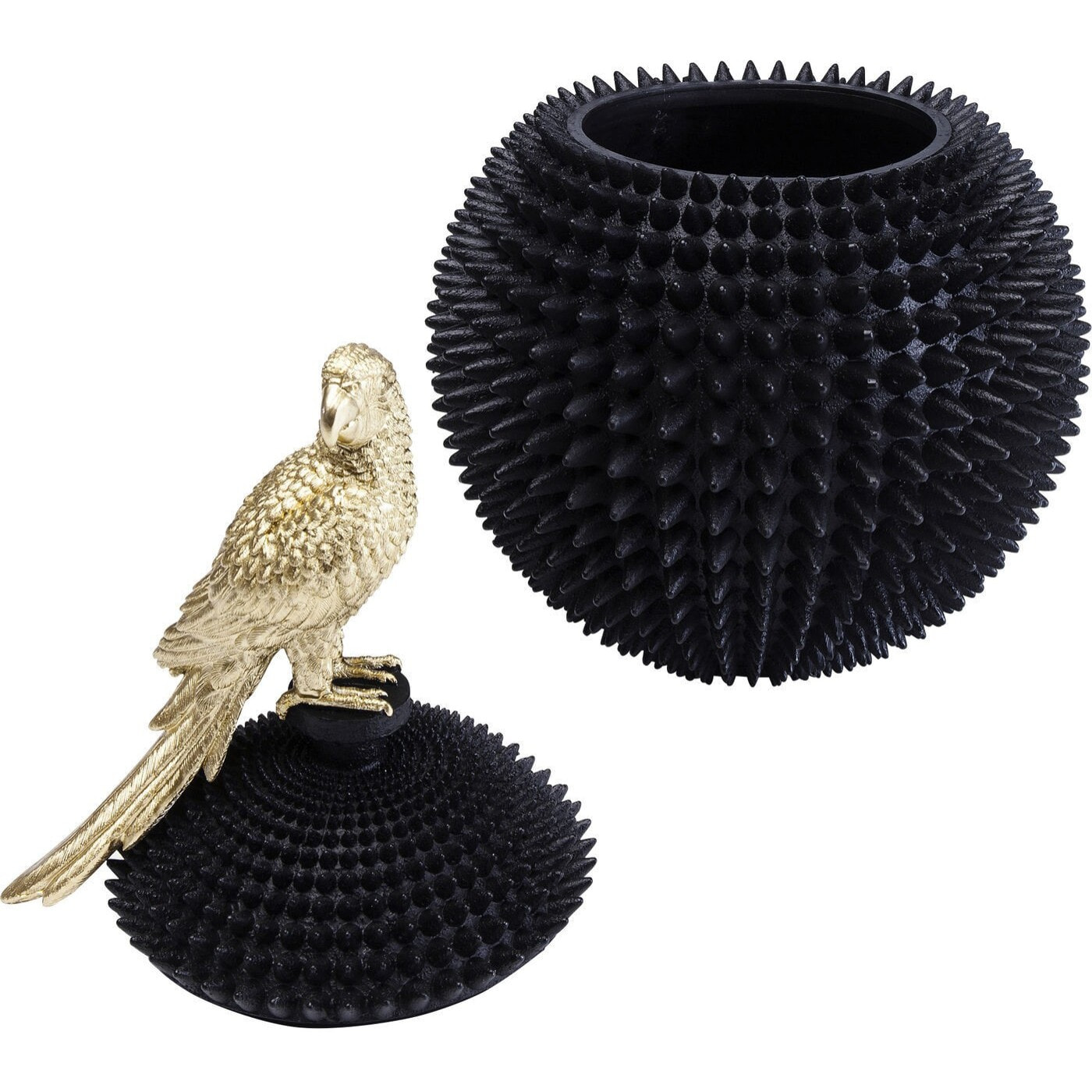 Boîte perroquet Kare Design