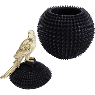 Boîte perroquet Kare Design