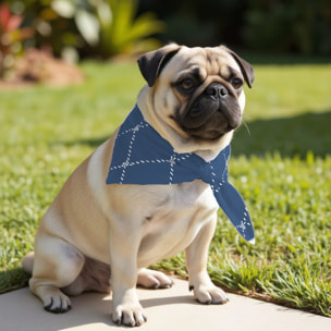 Pack de 2 bandanas pour animaux Benicassim Marine