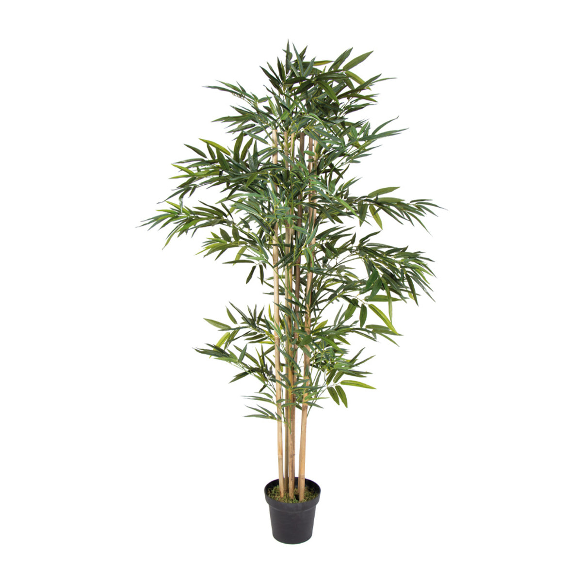 Planta Artificial Bambu 180 Cm