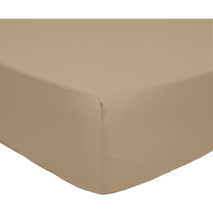 Drap Housse 2 Pers Percale De Coton Lin