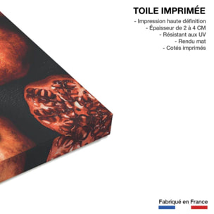 Tableau collection graines de grenade i Toile imprimée