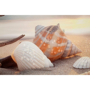 STAMPA DIPINTA SU TELA LACCATA BEACH C/CORNICE -B- CM 152X4X52