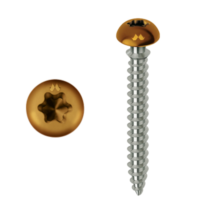 Vis MUSTAD Framex pour PVC - Tête fraisée réduite Torx - Ø6x70 mm - Boite de 100 - Chromiting - laqué marron - SP305A60070034C