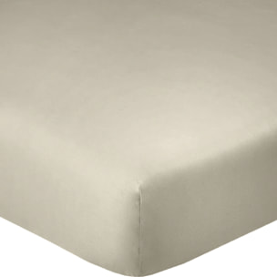 Drap Housse - Bonnet 35cm 100% Coton 57fils Latte