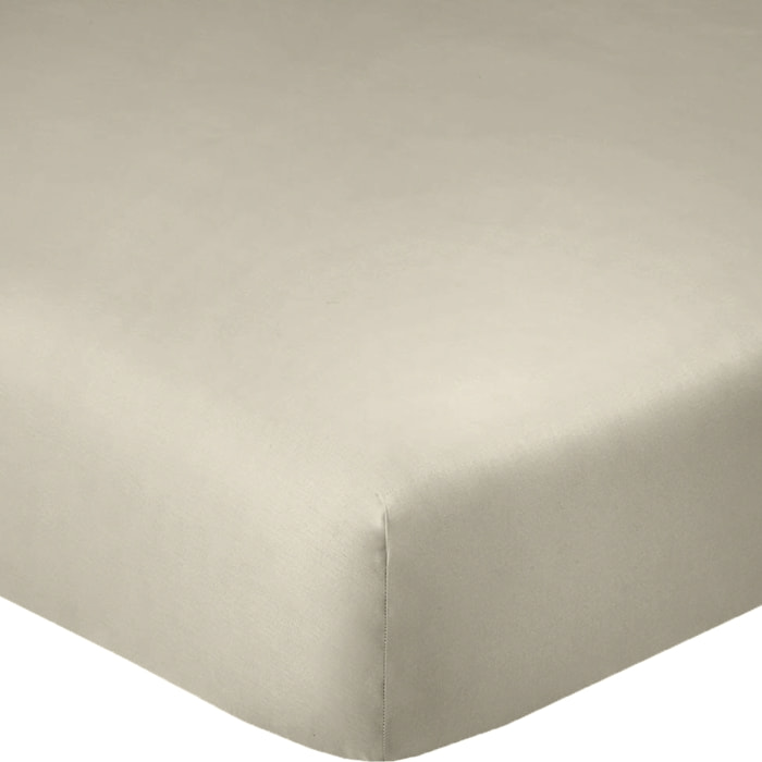 Drap Housse - Bonnet 35cm 100% Coton 57fils Latte