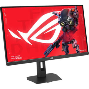 Ecran PC Gamer ASUS XG27AQNGV 27" QHD 360Hz IPS HDR10+
