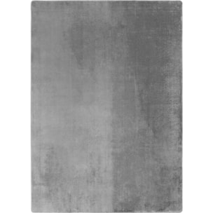 ALBA - Tapis doux silver à poils courts