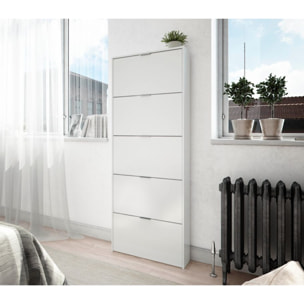 Scarpiera Armadio con 5 Ante Ribaltabili in Legno, Mobile Porta Scarpe Scaffale Mensola Organizzatore per Casa, Ingresso 70×17×180 Cm Bianco Lucido